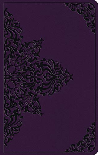 ESV Large Print Value Thinline Bible (TruTone, Lavender, Filigree Design) [Unknown]