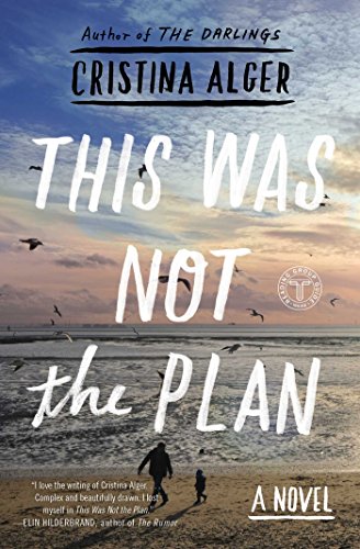 This Was Not the Plan: A Novel [Paperback]