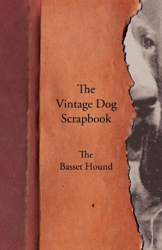 Vintage Dog Scrapbook - the Basset Hound [Paperback]