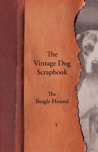 Vintage Dog Scrapbook - the Beagle Hound [Paperback]