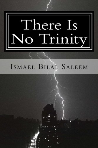 There Is No Trinity [Paperback]