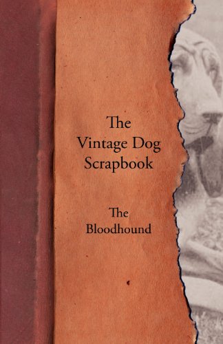 Vintage Dog Scrapbook - the Bloodhound [Paperback]