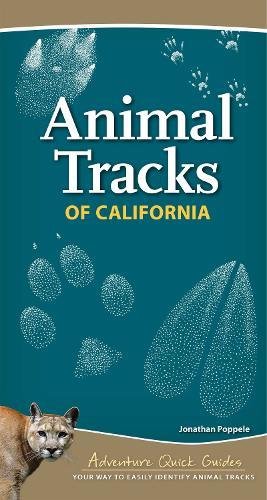 Animal Tracks Of California (adventure Quick