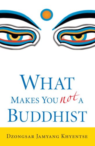 What Makes You Not a Buddhist [Paperback]