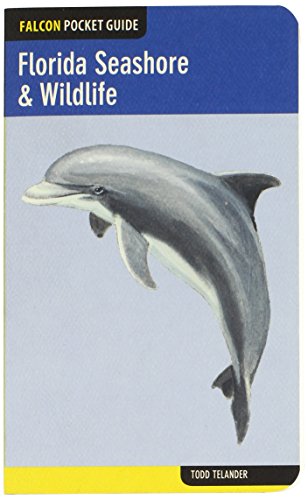 Florida Seashore & Wildlife [Paperback]