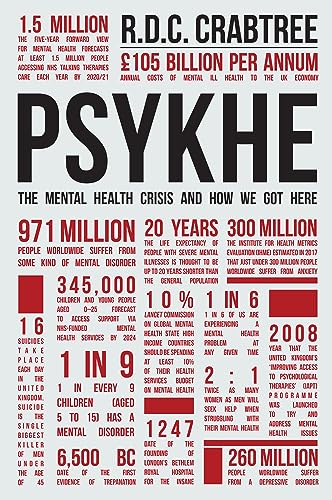 Psykhe: The Mental Health Crisis and How We Got Here [Paperback]