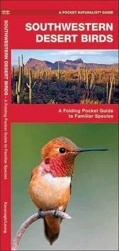 Southwestern Desert Birds: A Folding Pocket Guide to Familiar Species [Pamphlet]