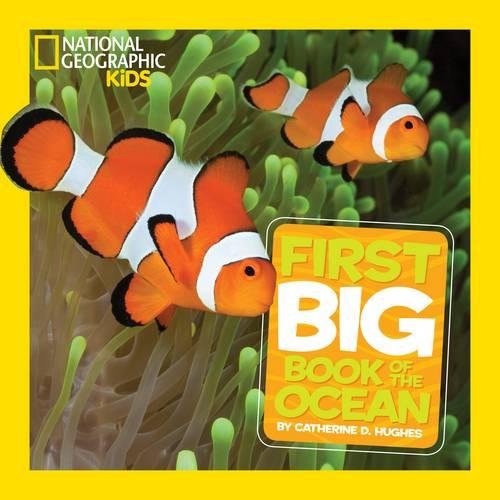 National Geographic Little Kids First Big Book of the Ocean [Hardcover]