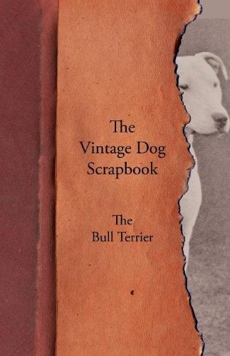 Vintage Dog Scrapbook - the Bull Terrier [Paperback]