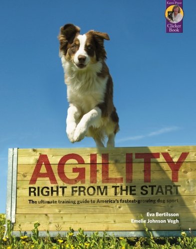 Agility Right from the Start [Paperback]