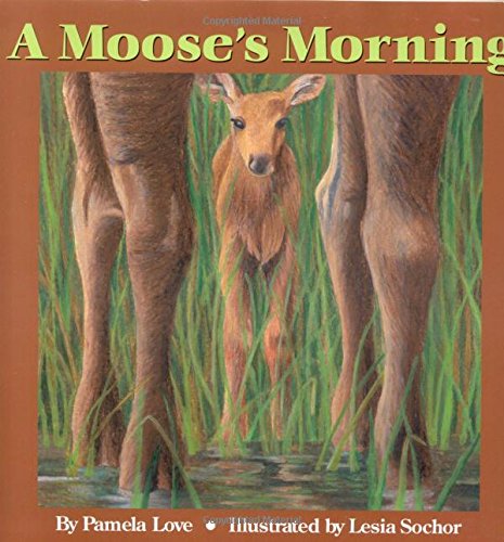 A Moose's Morning [Hardcover]