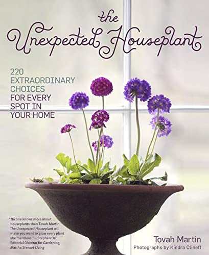 The Unexpected Houseplant: 220 Extraordinary Choices for Every Spot in Your Home [Paperback]