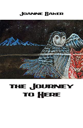 Journey To Here [Paperback]