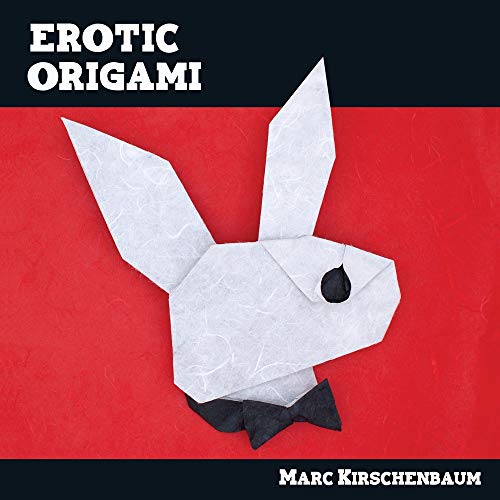 Erotic Origami [Paperback]