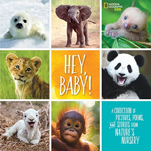 Hey, Baby!: A Collection of Pictures, Poems, and Stories from Nature's Nursery [Hardcover]