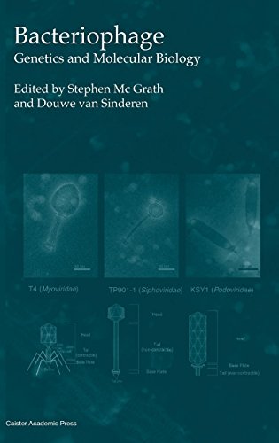 Bacteriophage  Genetics and Molecular Biology [Hardcover]