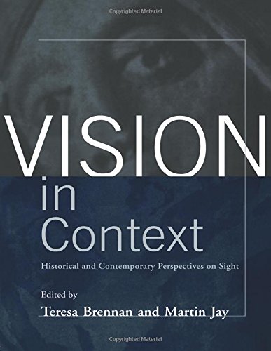 Vision in Context Historical and Contemporary Perspectives on Sight [Paperback]