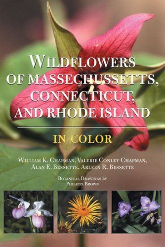 Wildflowers Of Massachusetts, Connecticut, An