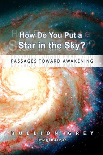 Ho Do You Put a Star in the Sky [Hardcover]