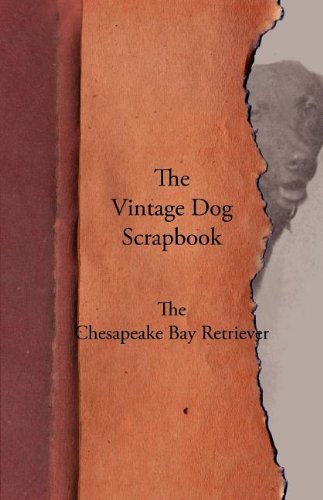 Vintage Dog Scrapbook - the Chesapeake Bay Retriever [Paperback]