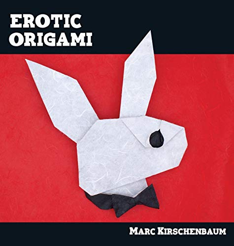 Erotic Origami [Hardcover]