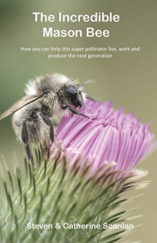 Incredible Mason Bee [Paperback]