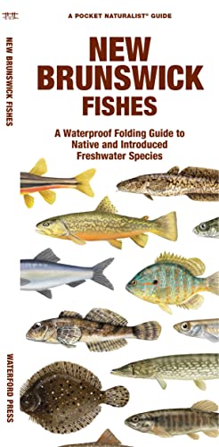 New Brunswick Fishes: A Waterproof Folding Guide to Native and Introduced Freshw [Pamphlet]