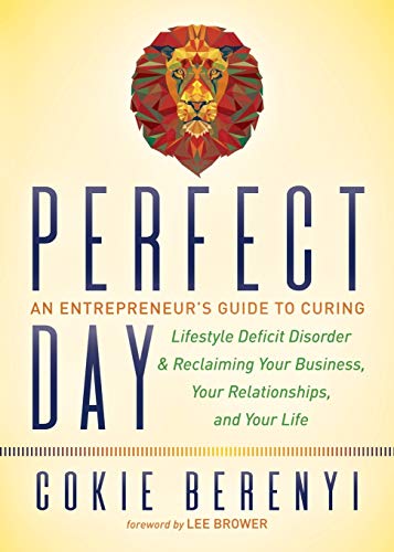 Perfect Day An Entrepreneurs Guide to Curing Lifestyle Deficit Disorder and Re [Paperback]