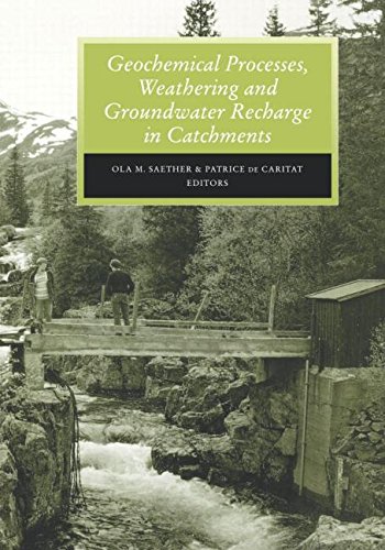 Geochemical Processes, Weathering and Groundater Recharge in Catchments [Hardcover]