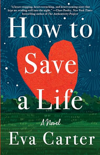 How to Save a Life: A Novel [Paperback]