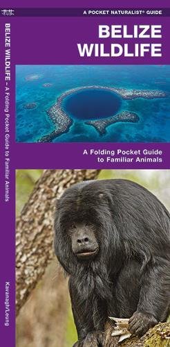 Belize Wildlife: An Introduction to Familiar Species [Pamphlet]