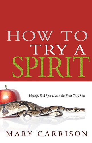 How To Try A Spirit: Identify Evil Spirits And The Fruit They Sow [Paperback]