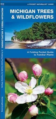 Michigan Trees & Wildflowers: A Folding Pocket Guide to Familiar Species [Pamphlet]