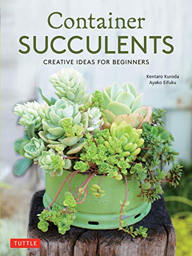 Container Succulents: Creative Ideas for Beginners [Paperback]