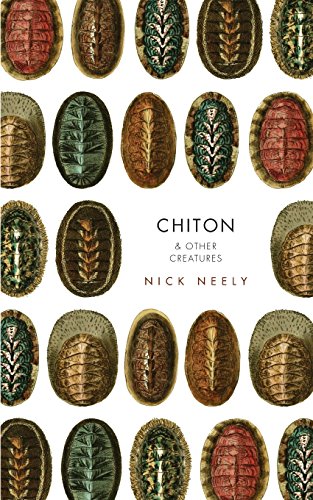 Chiton & Other Creatures [Paperback]