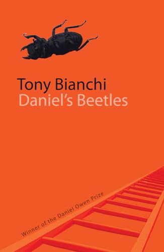 Daniel's Beetles [Paperback]