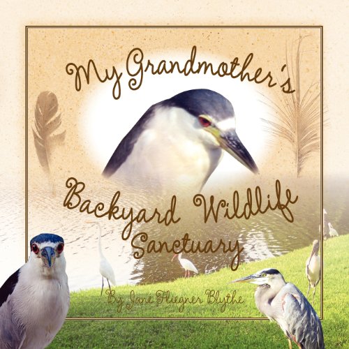 My Grandmother's Backyard Wildlife Sanctuary [Paperback]