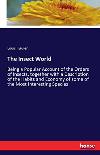 The Insect World [Paperback]