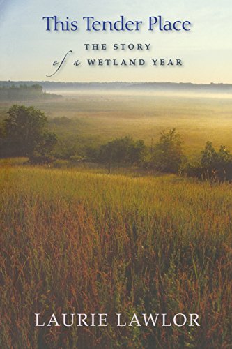 This Tender Place The Story of a Wetland Year [Paperback]