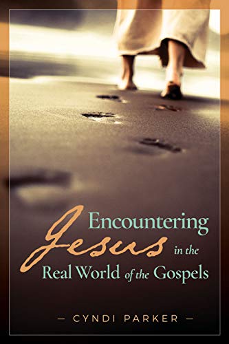 Encountering Jesus in the Real World of the Gospels [Paperback]