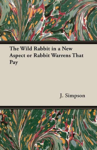 Wild Rabbit in a Ne Aspect or Rabbi [Unknon]