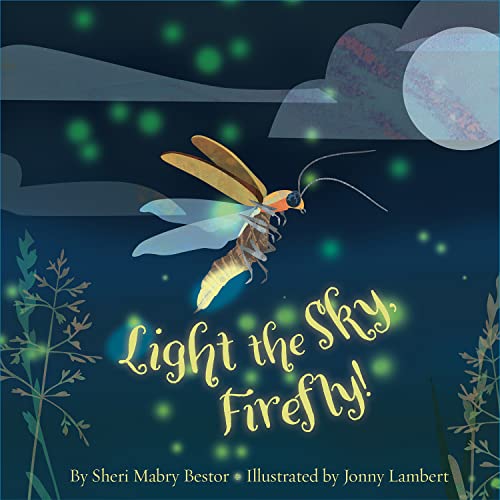 Light The Sky Firefly                    [CLO