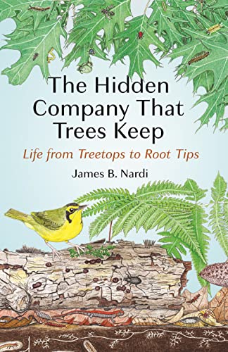 The Hidden Company That Trees Keep: Life from Treetops to Root Tips [Hardcover]