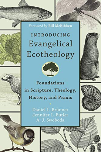 Introducing Evangelical Ecotheology: Foundations In Scripture, Theology, History [Paperback]