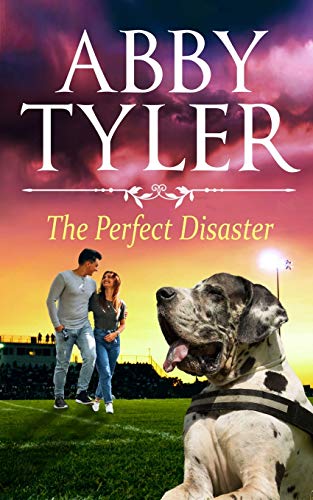 Perfect Disaster  An Applebottom Matchmaker Society Small Ton Seet and Wholes [Paperback]