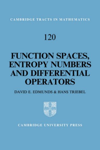 Function Spaces, Entropy Numbers, Differential Operators [Paperback]