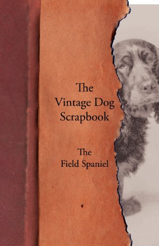 Vintage Dog Scrapbook - the Field Spaniel [Paperback]