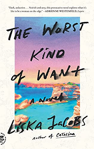 The Worst Kind of Want: A Novel [Paperback]