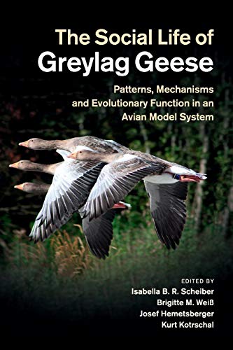 The Social Life of Greylag Geese Patterns, Mechanisms and Evolutionary Function [Paperback]