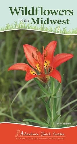 Wildflowers of the Midwest [Spiral bound]